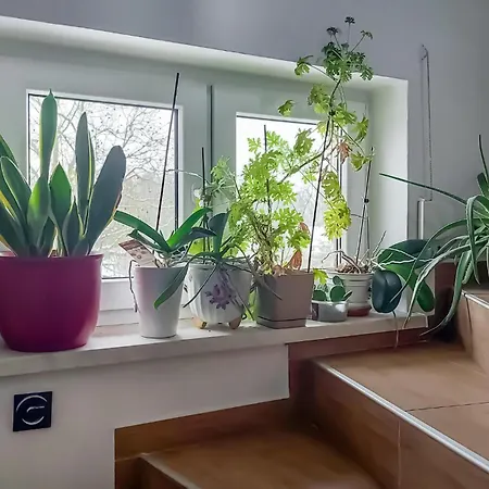 Apartamento 4 Bedroom Awesome In Moryn