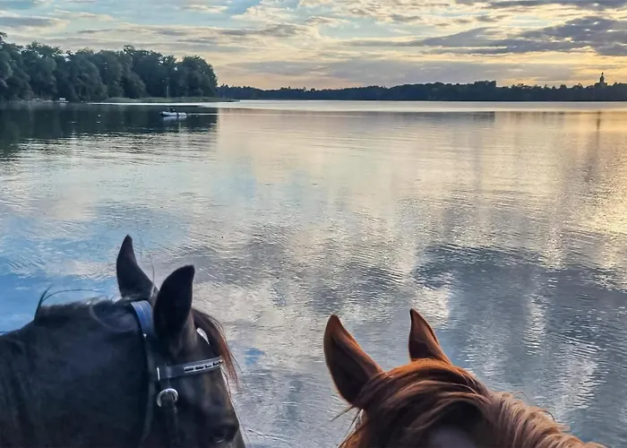 4 Bedroom Awesome In