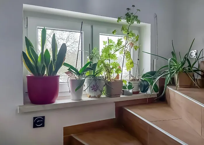 Appartement 4 Bedroom Awesome In Moryn